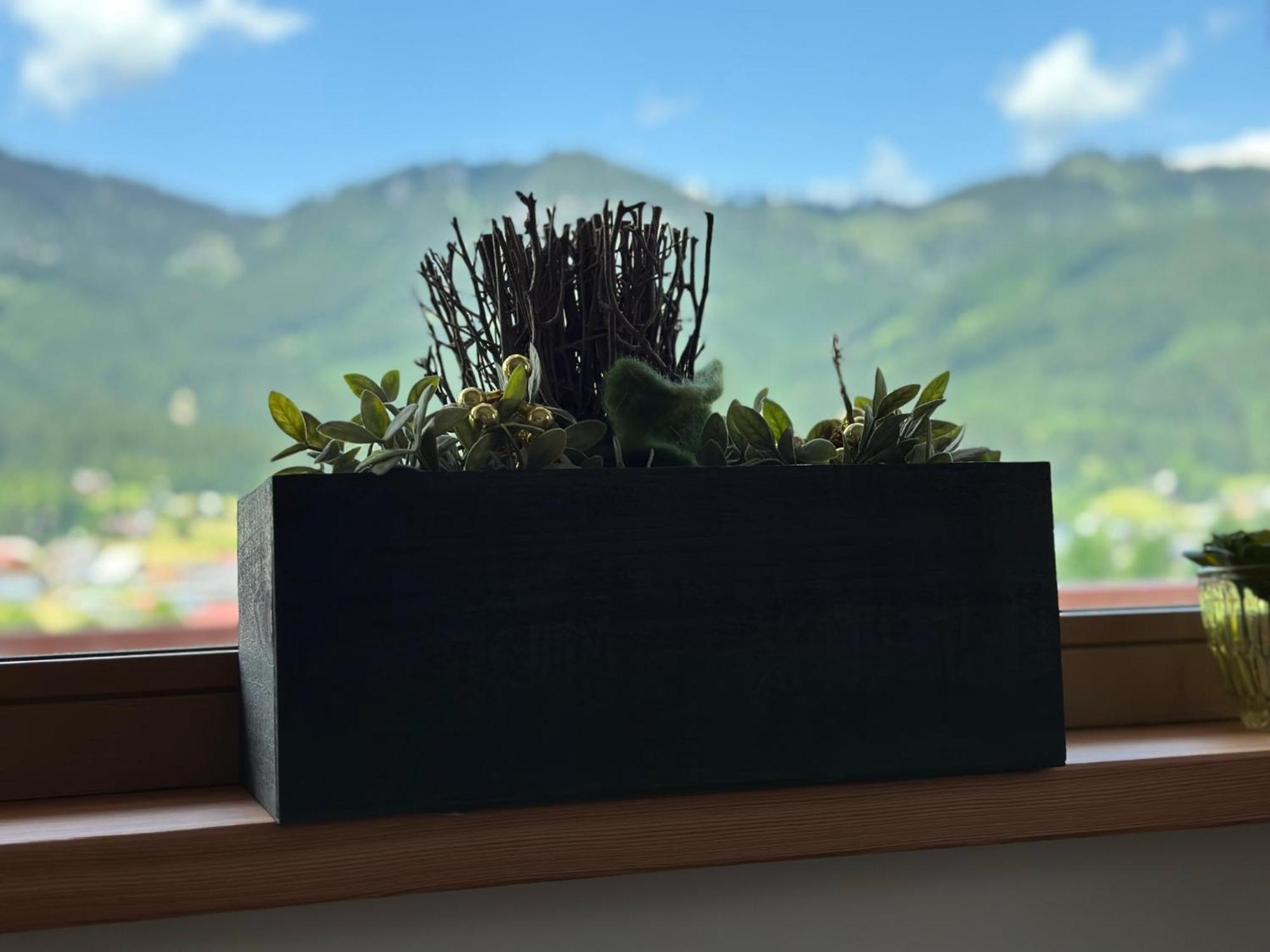 Kogelblick Gosau