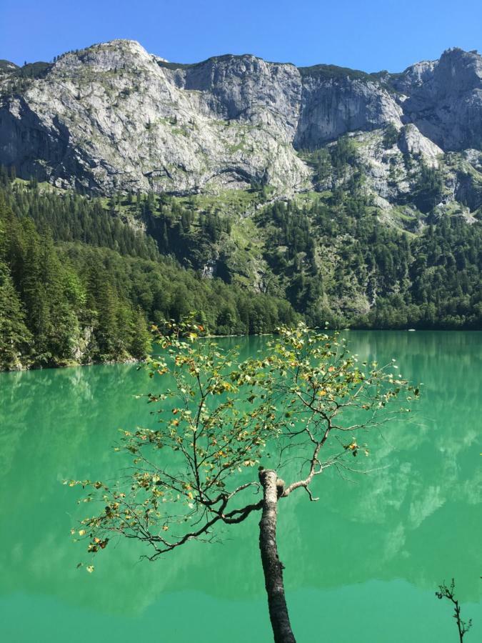 Kogelblick Apartment Gosau