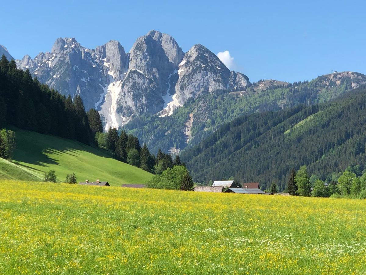Kogelblick Apartment Gosau